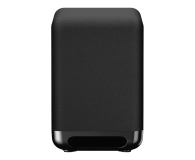 SONY SA-SW5 SASW5.CEL - 1119696 - zdjęcie 1